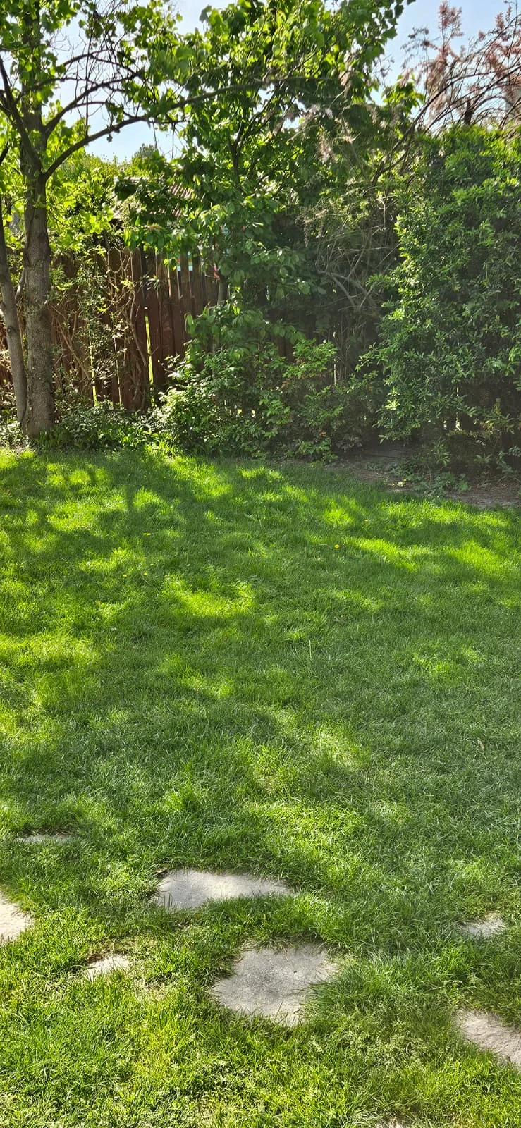 Mosnita Noua , in spate la Mega Image , strada Domogled !!!