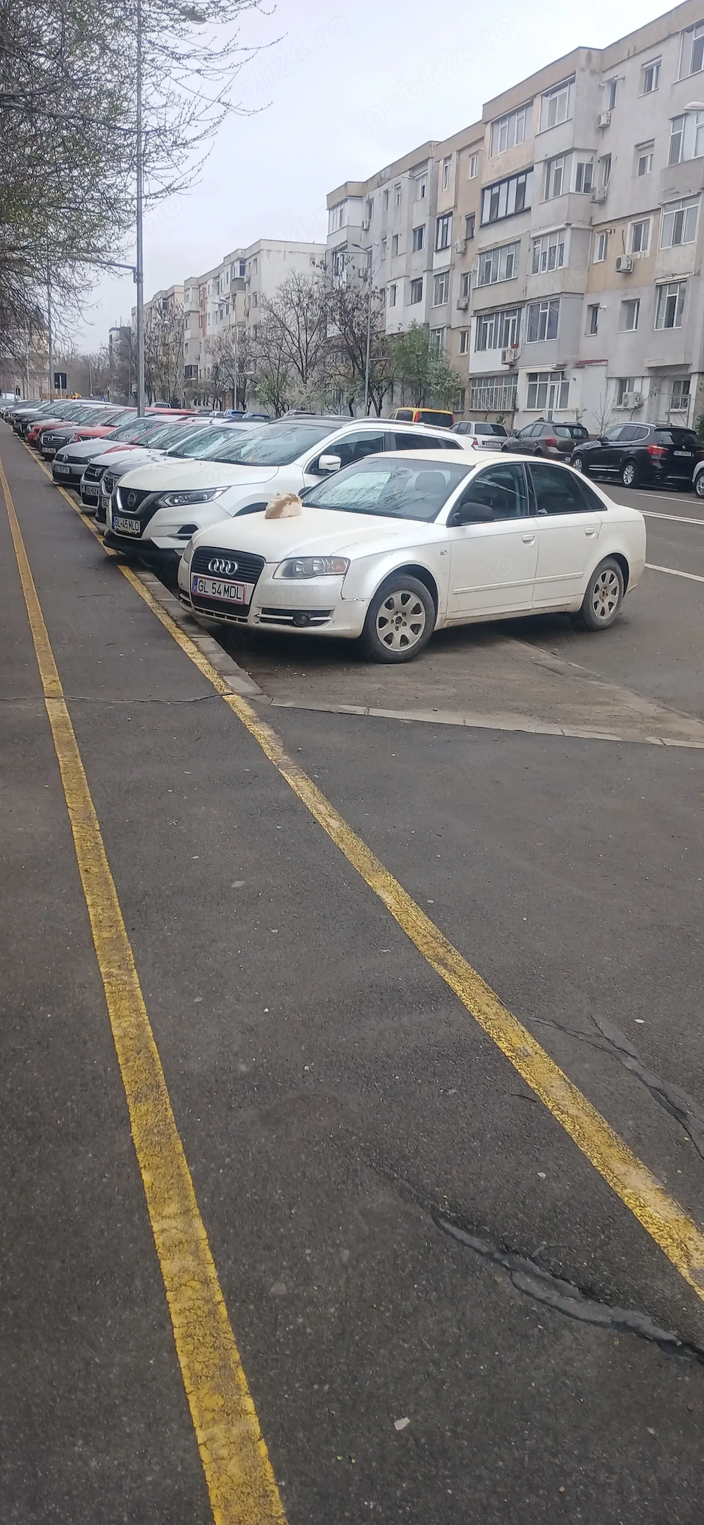 Audi a4 b7 1.9 motorina 