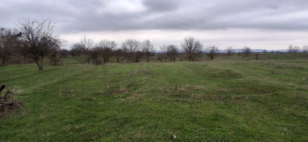 Teren extravilan 3.700 mp  zona Tufeni 