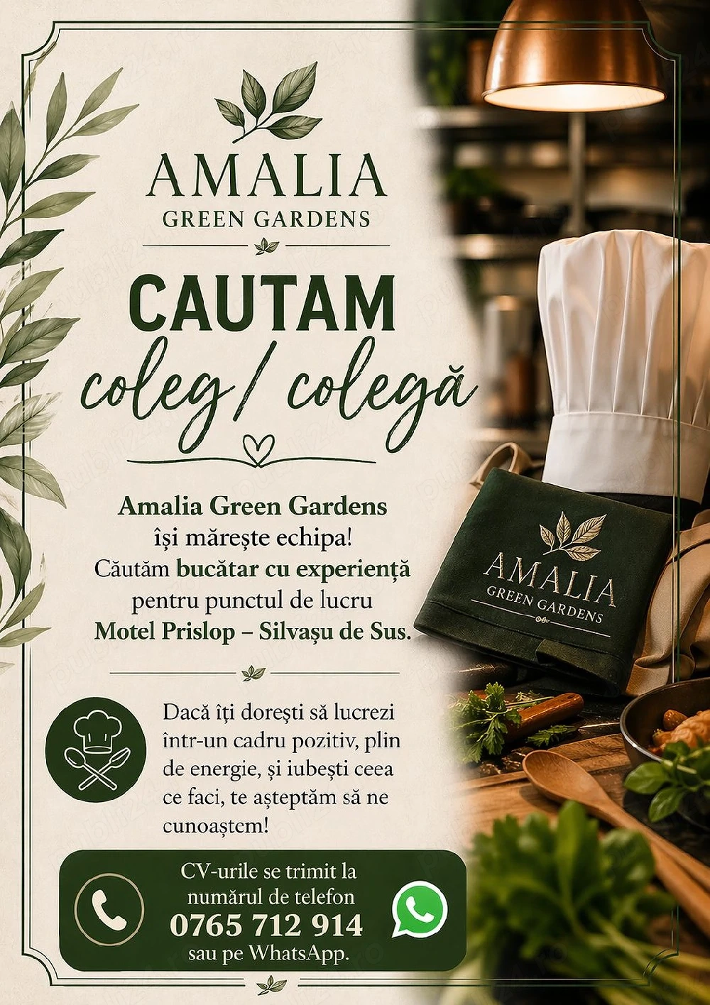 Amalia Green Gardens cauta Bucătar cu experiență 