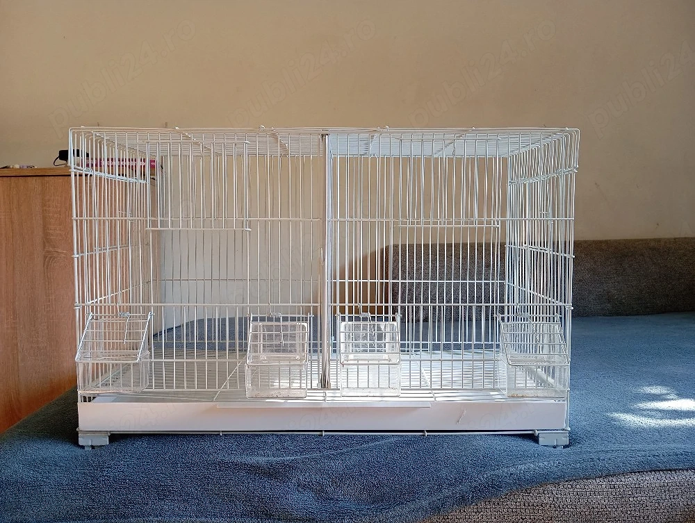 Colivie de papagali nimfe sau perusi