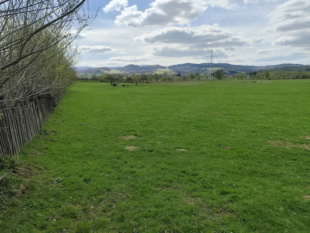 Teren 719mp la liziera pădurii- Întorsura Buzăului (Utilități incluse)