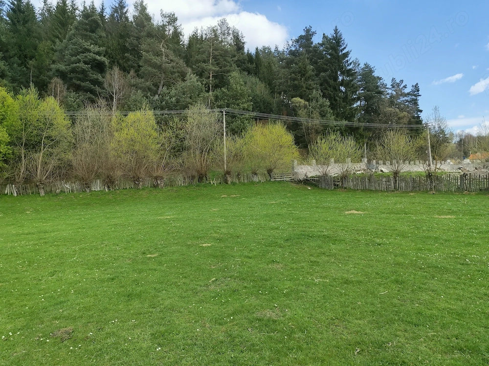 Proprietar   Teren intravilan 719 mp Întorsura Buzăului (Crivina)