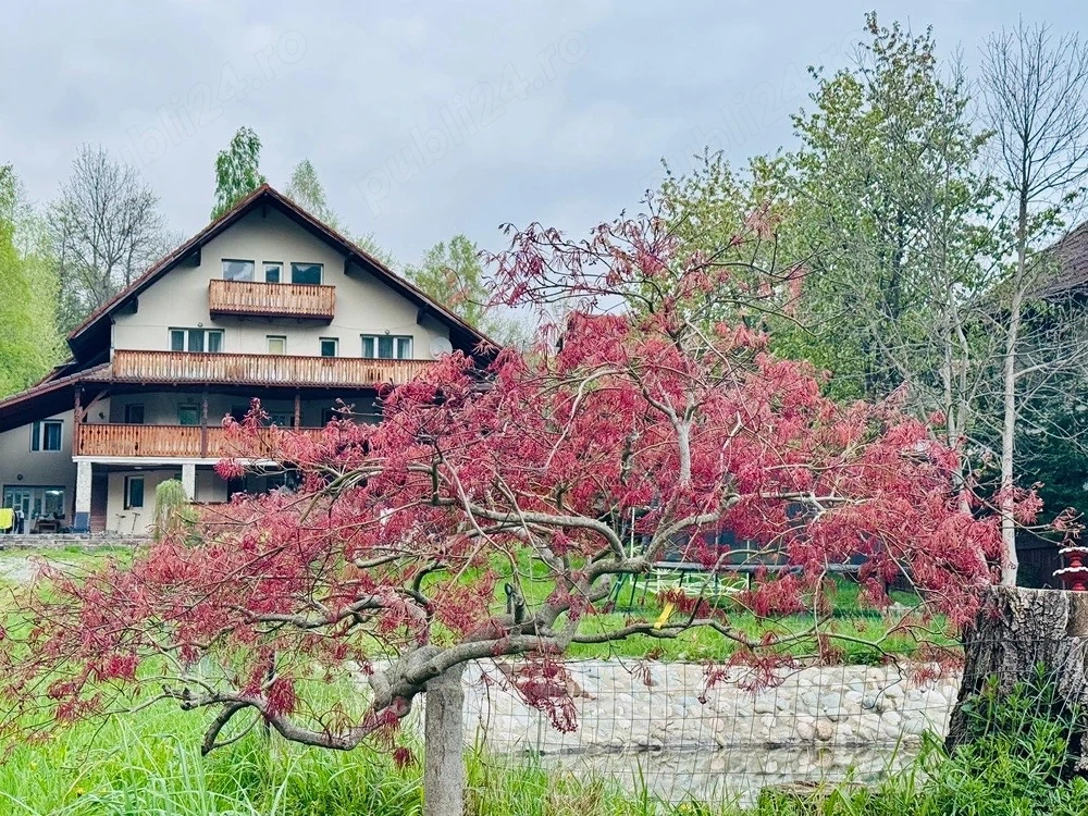 Inchiriere pensiune Bran