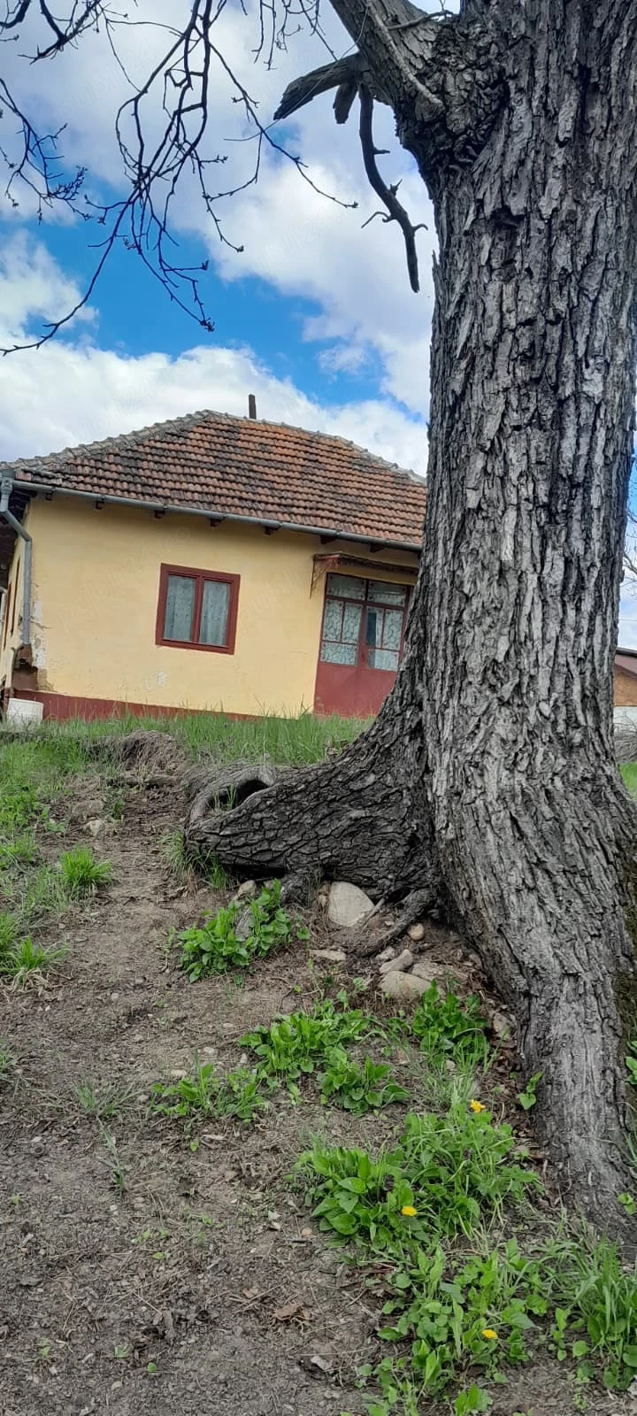 De vânzare casă bătrânească și teren în zona de munte 