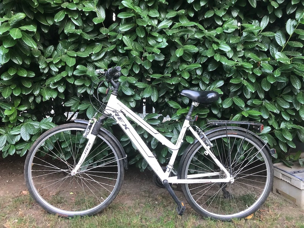 Vand bicicleta adulti aluminium prophete REX 