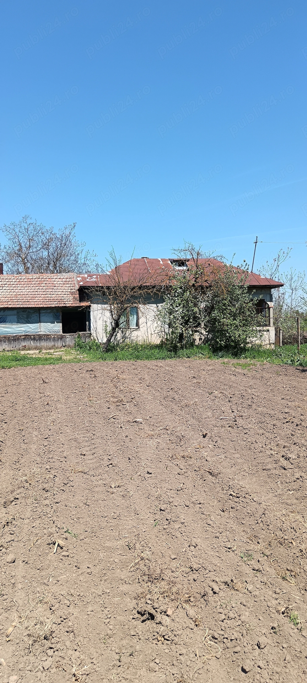 Casa la țara jud. Giurgiu, 4 camere, curte 4000 mp