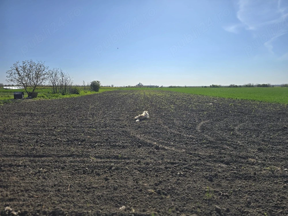 Vand teren intravilan