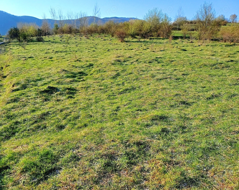 vând teren 500 m2 intravilan Cisnădioara 