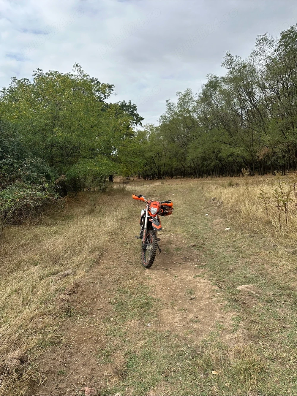 vand cross alfarad 300 cc a8 