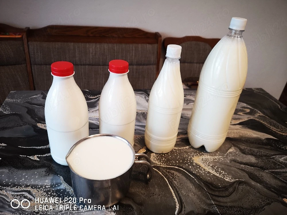 Lapte proaspăt și iaurt de Capră 