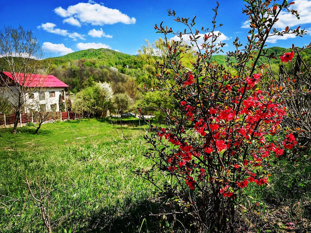 Teren INTRAVILAN loc. Sultanu_Visinesti, (1.20 h Bucuresti, 15 min Provita_Breaza, 30 min Campina)