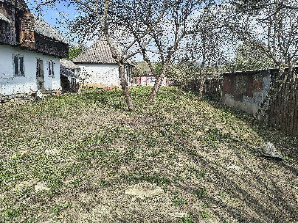 vand teren + casa bătrânească
