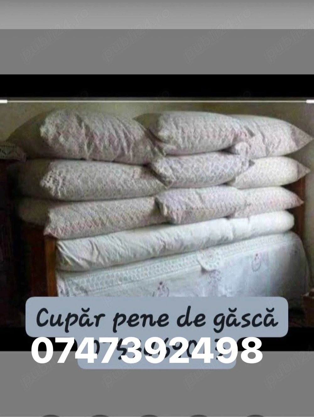 cupâ pene de gâscâ 