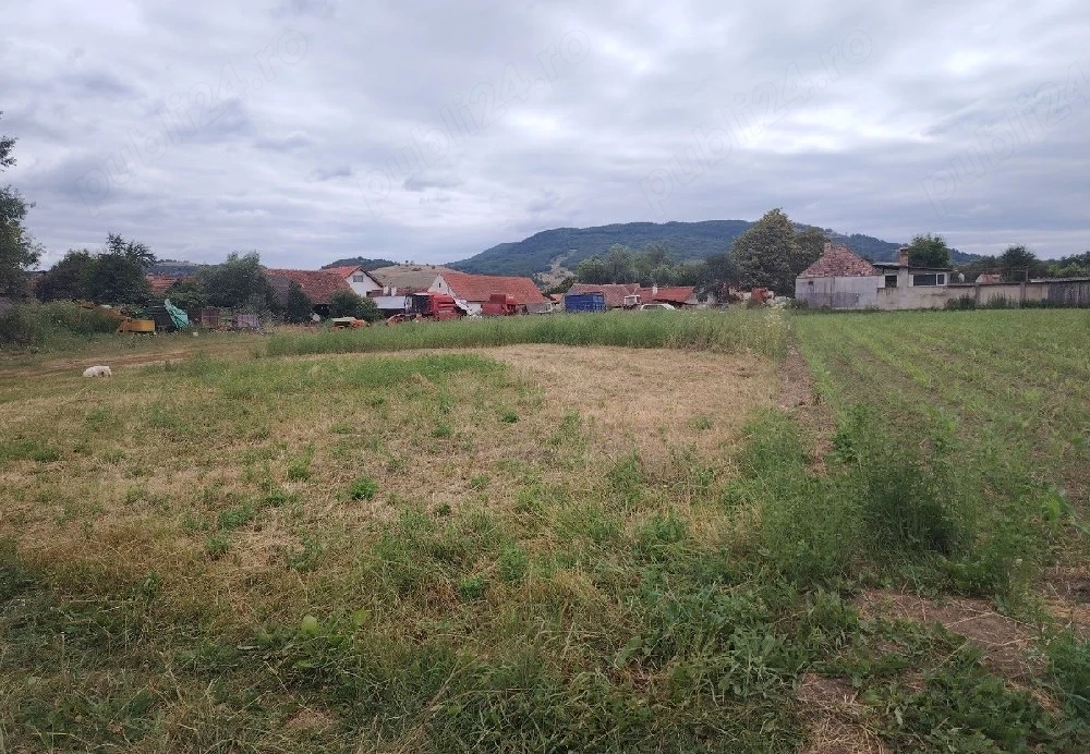 Teren intravilan de vanzare Comana de jos