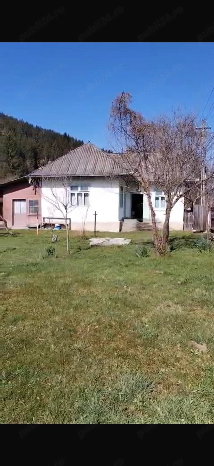 Teren cu casă de vânzare   Sat Telec, Comuna Bicazu Ardelean