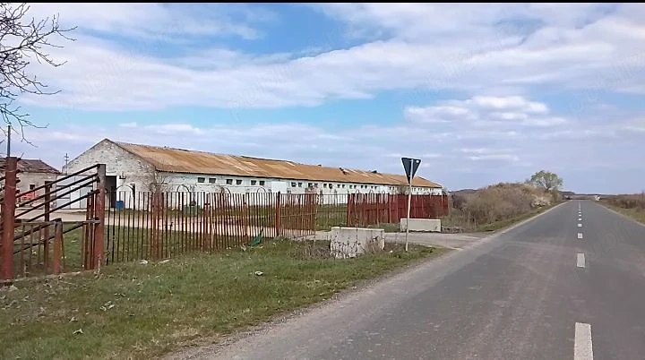 Magazie de cereale și bucătarie furajeră, pe un teren intravilan de 16575 mp, în Sintea Mare