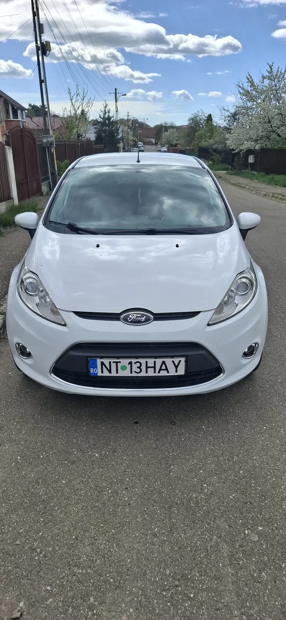 Vand Ford Fiesta