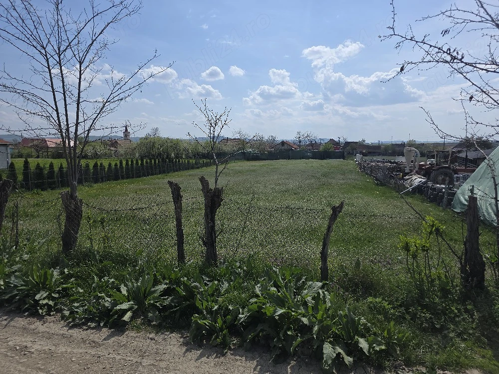 Teren Intravilan 1.424 mp   Hădăreni (Chețani)