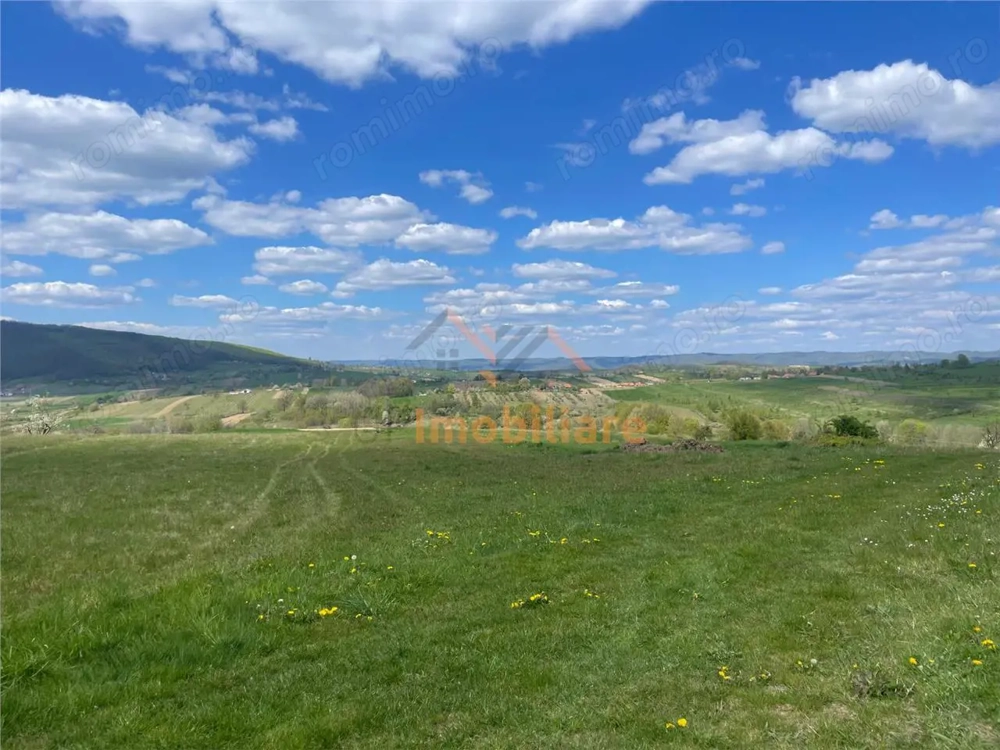 TEREN | BALNACA | 6301MP | BIHOR