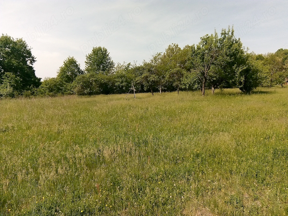 Vand teren  intravilan 2515 m2 in Ioanicesti, com Poienarii de Arges.