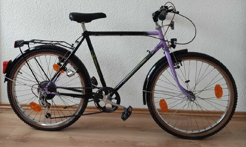 Bicicleta Phoenix