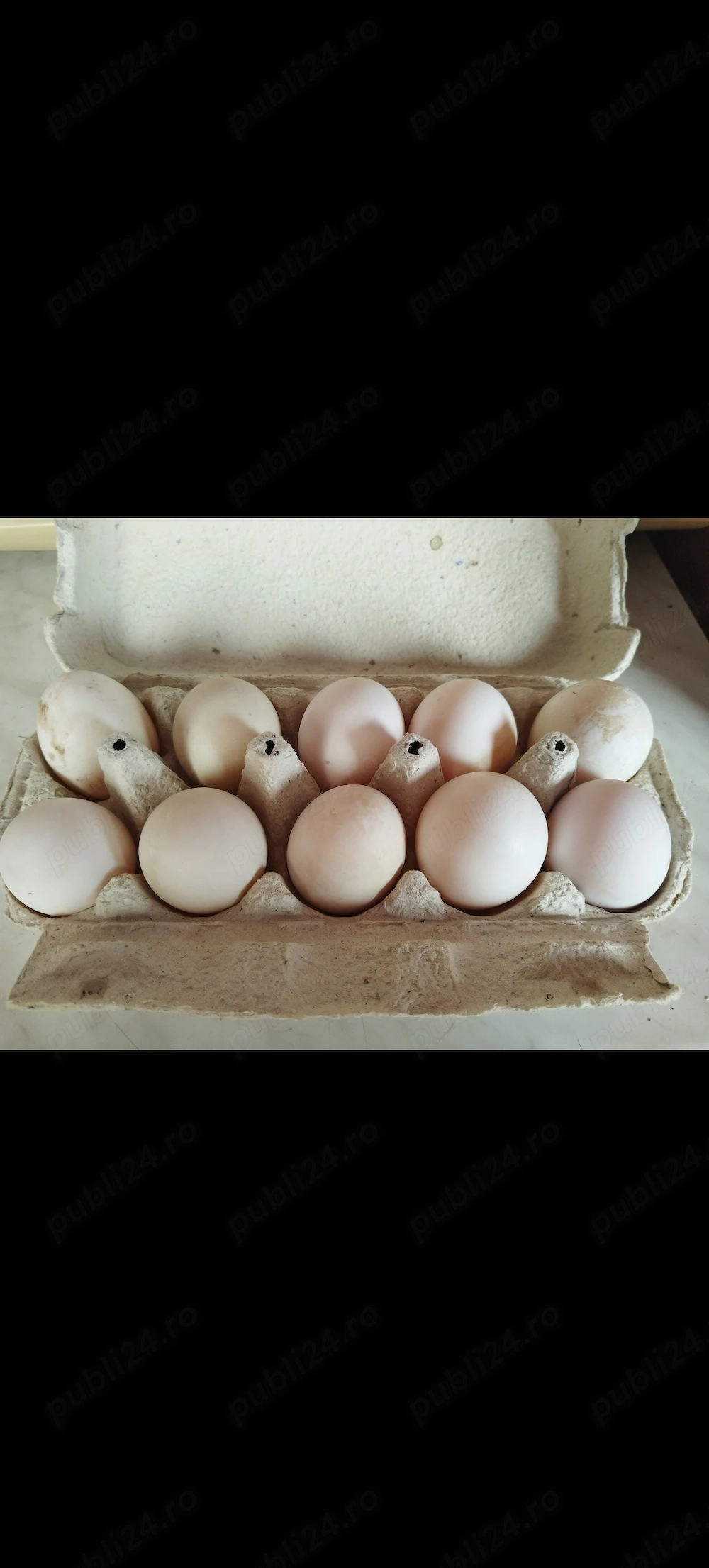 De vanzare brestea jud timis