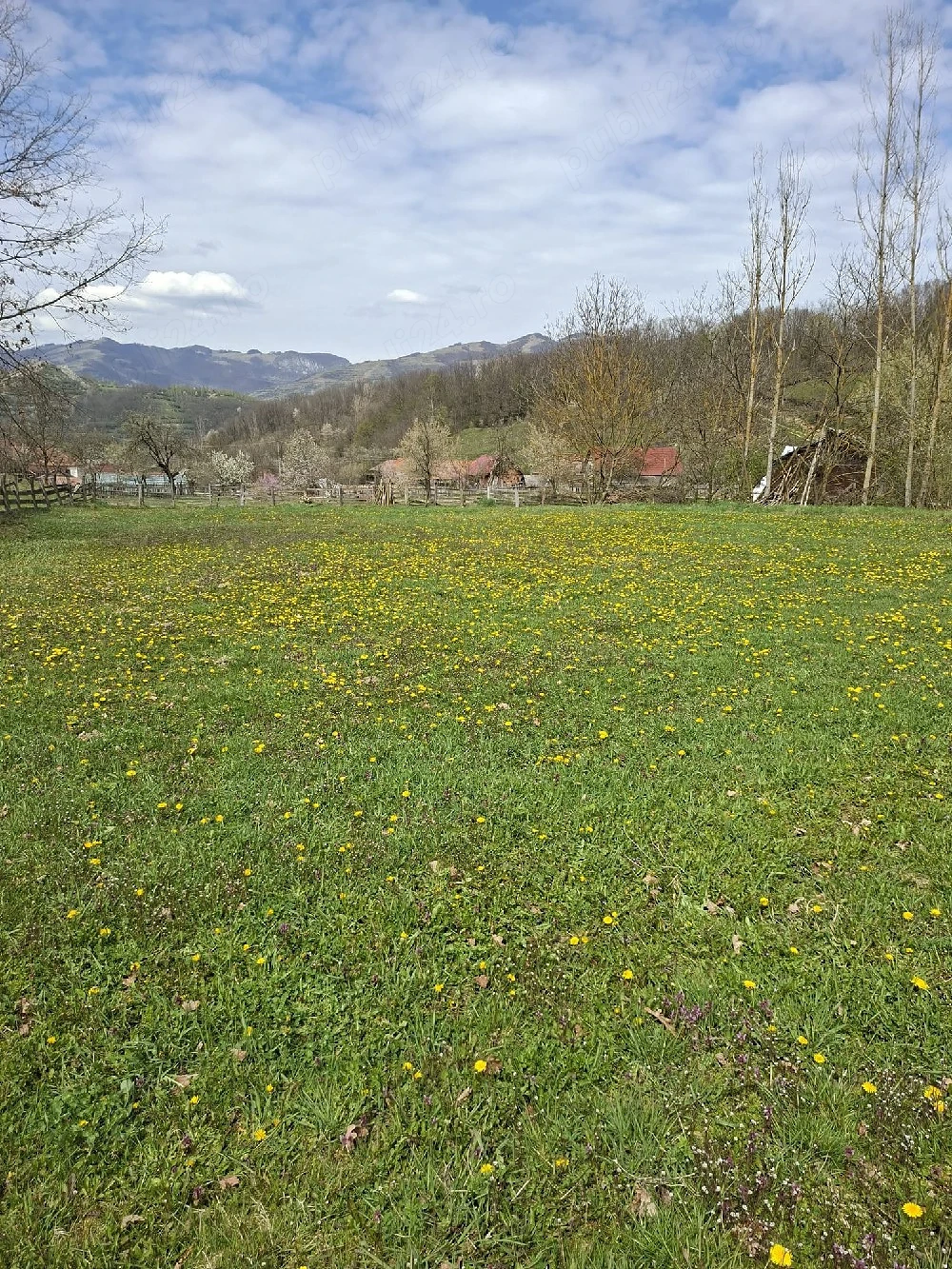 teren intravilan de vânzare 