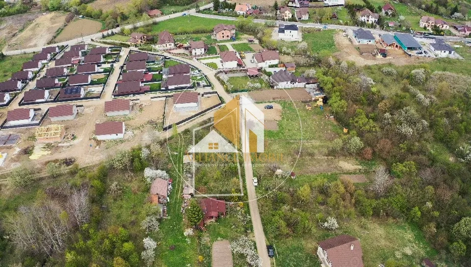 Teren extravilan de vânzare – ideal pentru casă sau parcelare în 2 loturi