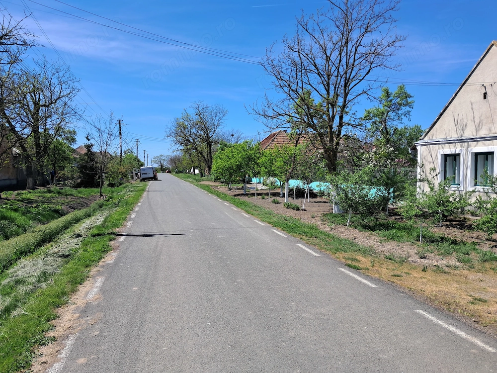 Valcani, proprietate cu casa taraneasca 