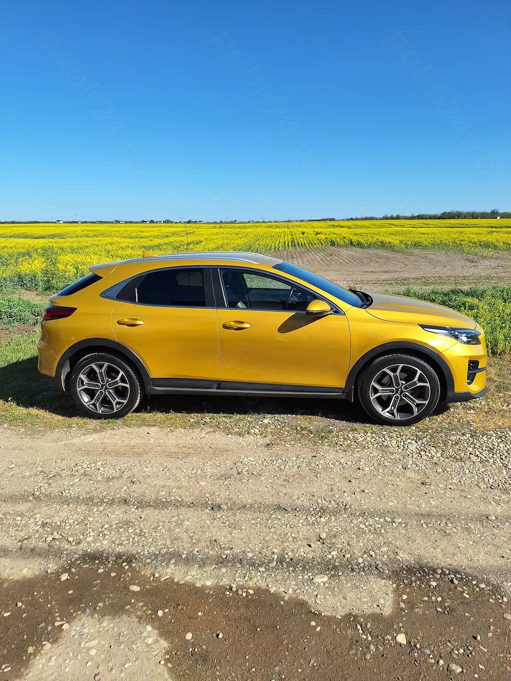 Kia XCeed 1.5 T-GDI MHEV 7DCT Style+