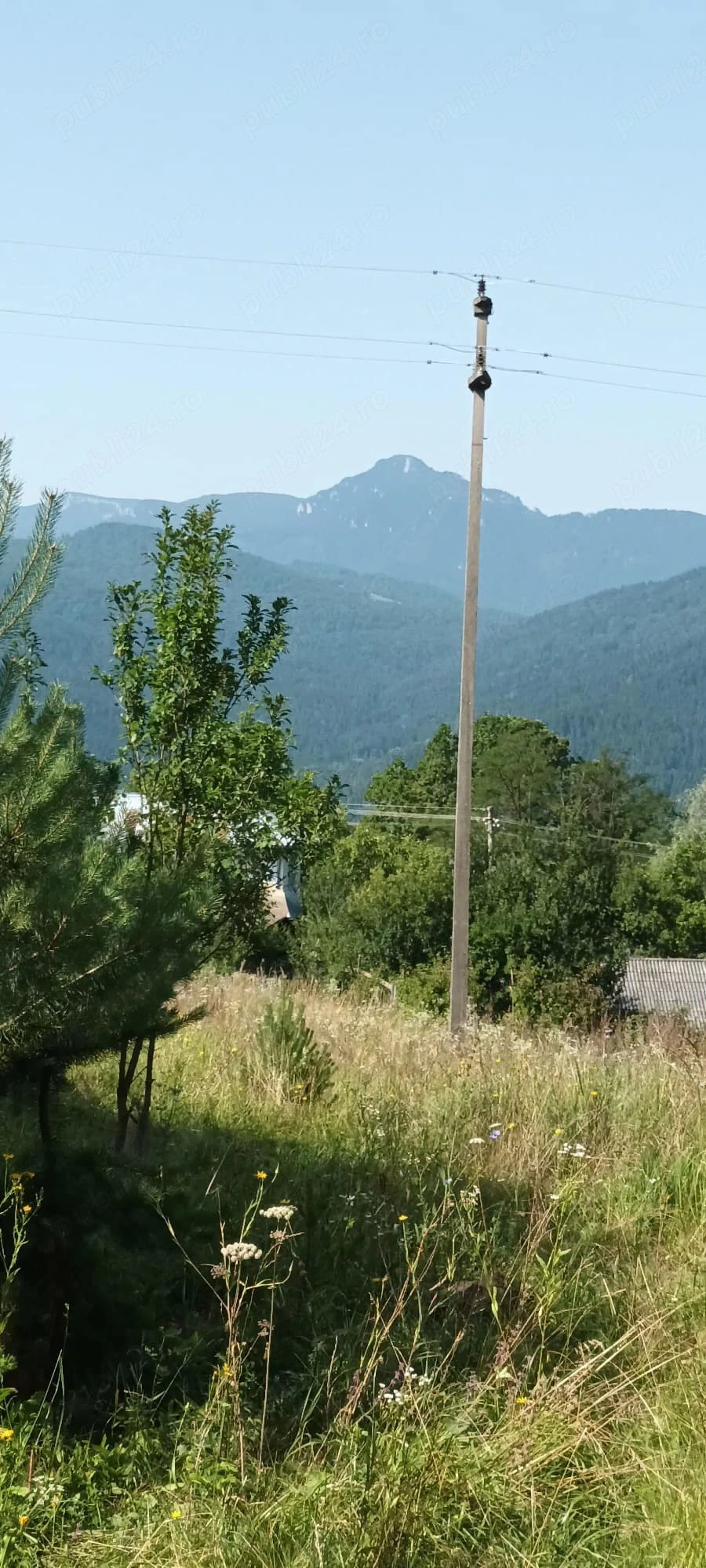 Teren intravilan Hangu 