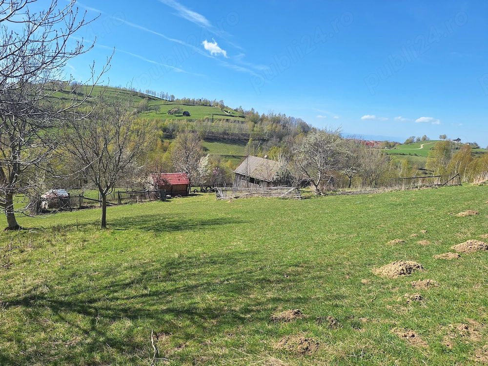 Teren de vânzare- 3 hectare jud. Sibiu, comuna Jina
