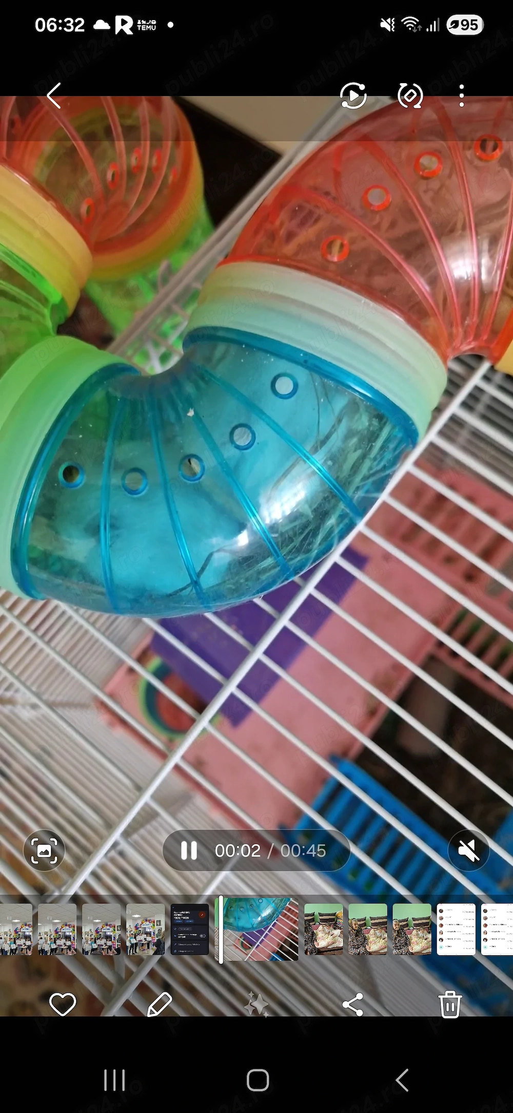 Donez hamsteri de 1 luna