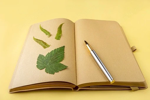 ierbar,simplu sau profesional 