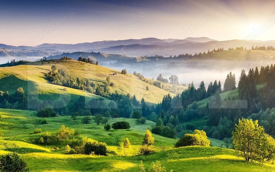 Teren agricol, comasat, irigat, 755000 mp, lanaga autostrada, Timis