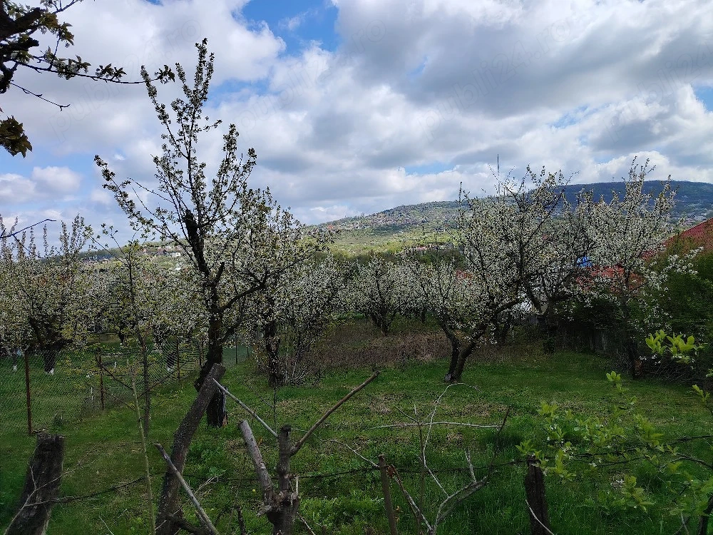 vind teren intravilan în com Bârnova jud Iași bun pentru construcție, cu utilități 1150 mp Tel 07468