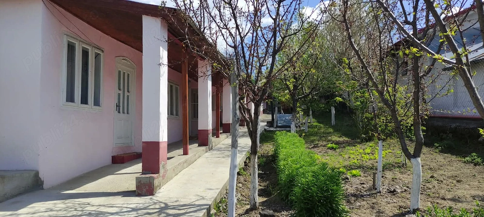 Casă de vânzare în Costache Negri