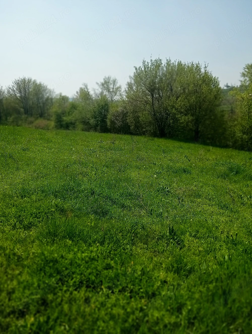 Teren intravilan Loc pentru Casă 