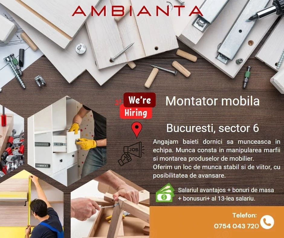 Montator mobila sector 6