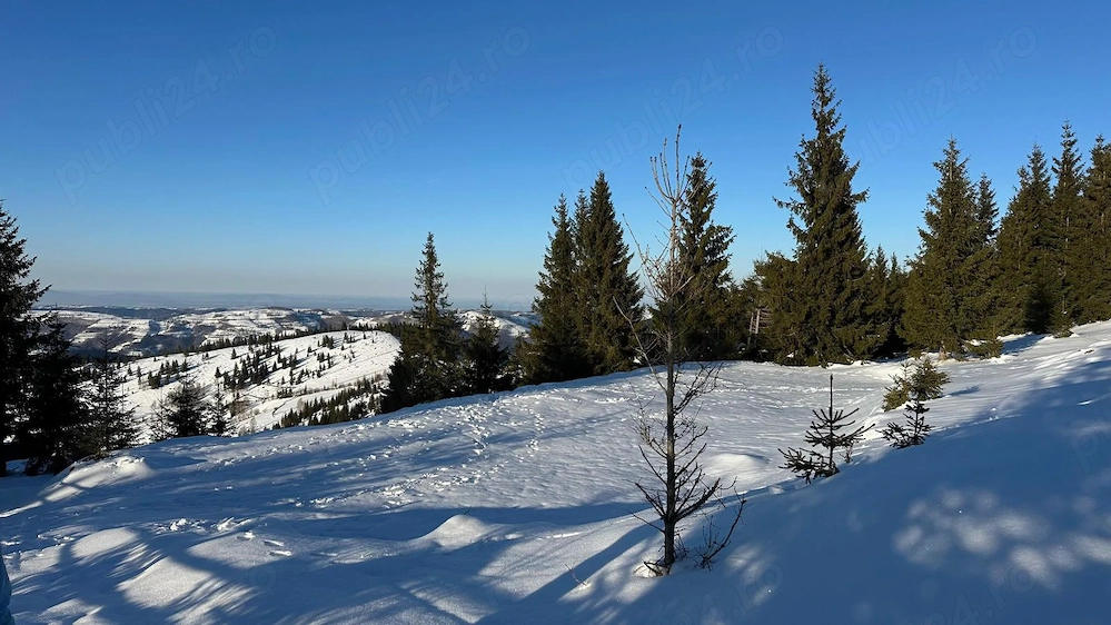 Vand teren Intravilan Maguri Racatau intabulat cu CF