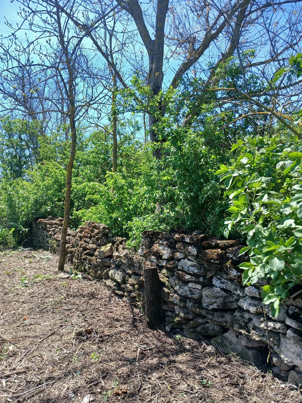 30min de Mangalia,casa piatră,locuibilă,pretabil vânători,vacanță,bodegă,ferită de priviri indiscret