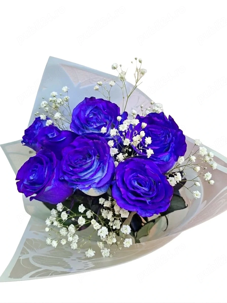 Lucrator comercial,Job in florarie