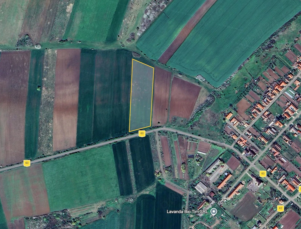 Proprietar - Vând 2 hectare la intrarea în Bencecu de Sus, front la drum asfaltat