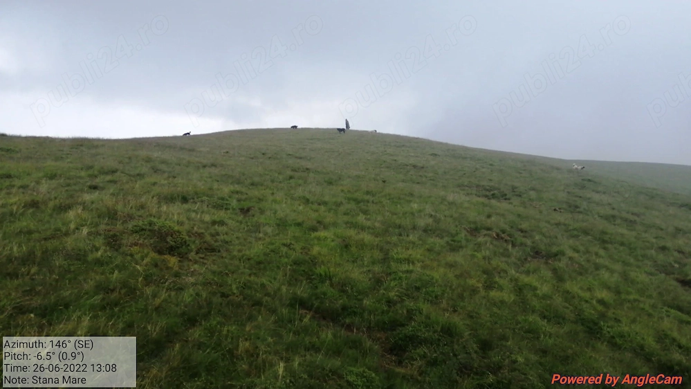 Teren pasune gol alpin, muntele Stana Mare, Gorj, 96 hectare