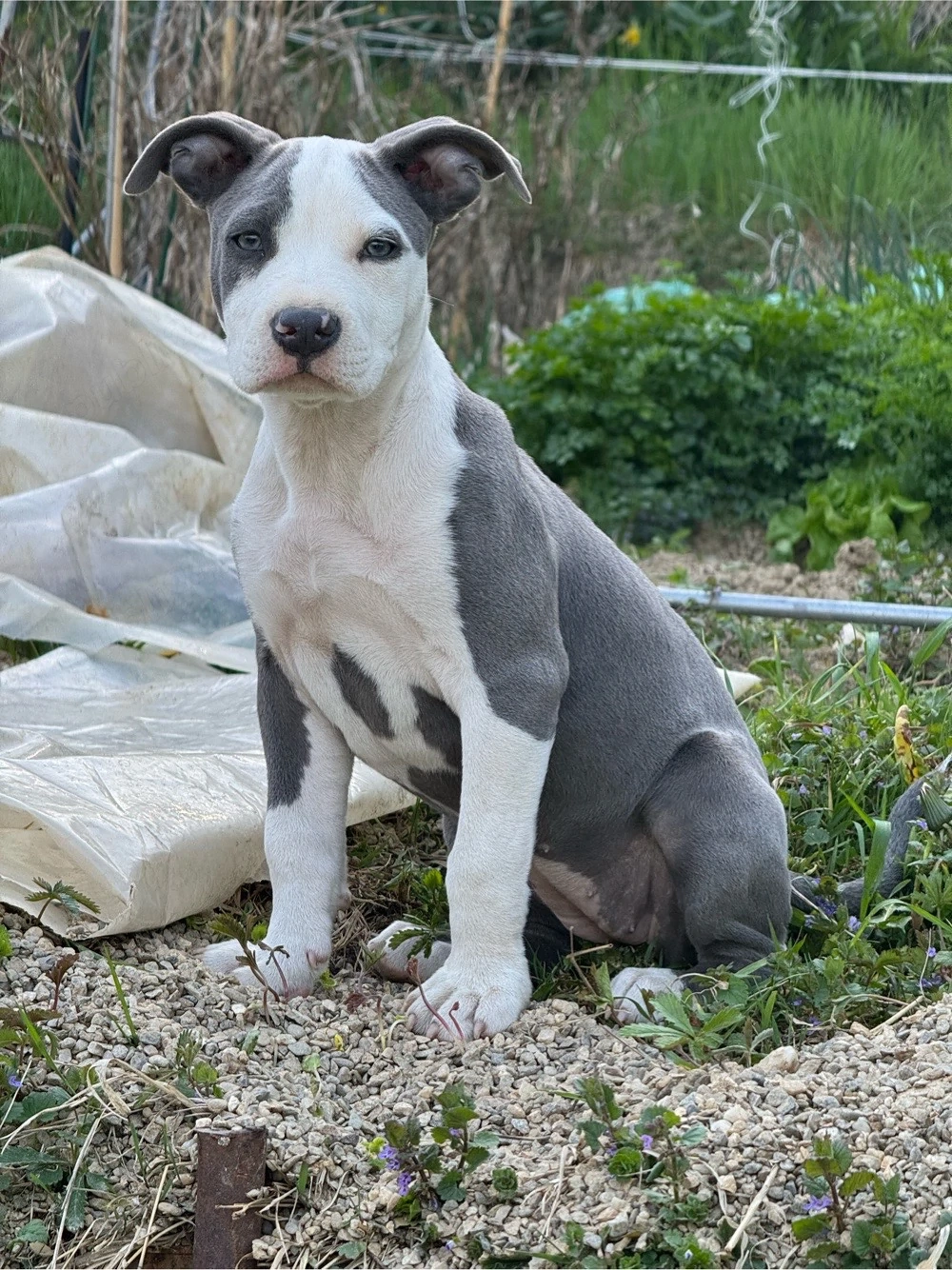 Caut o familie care sa ma iubeasca!