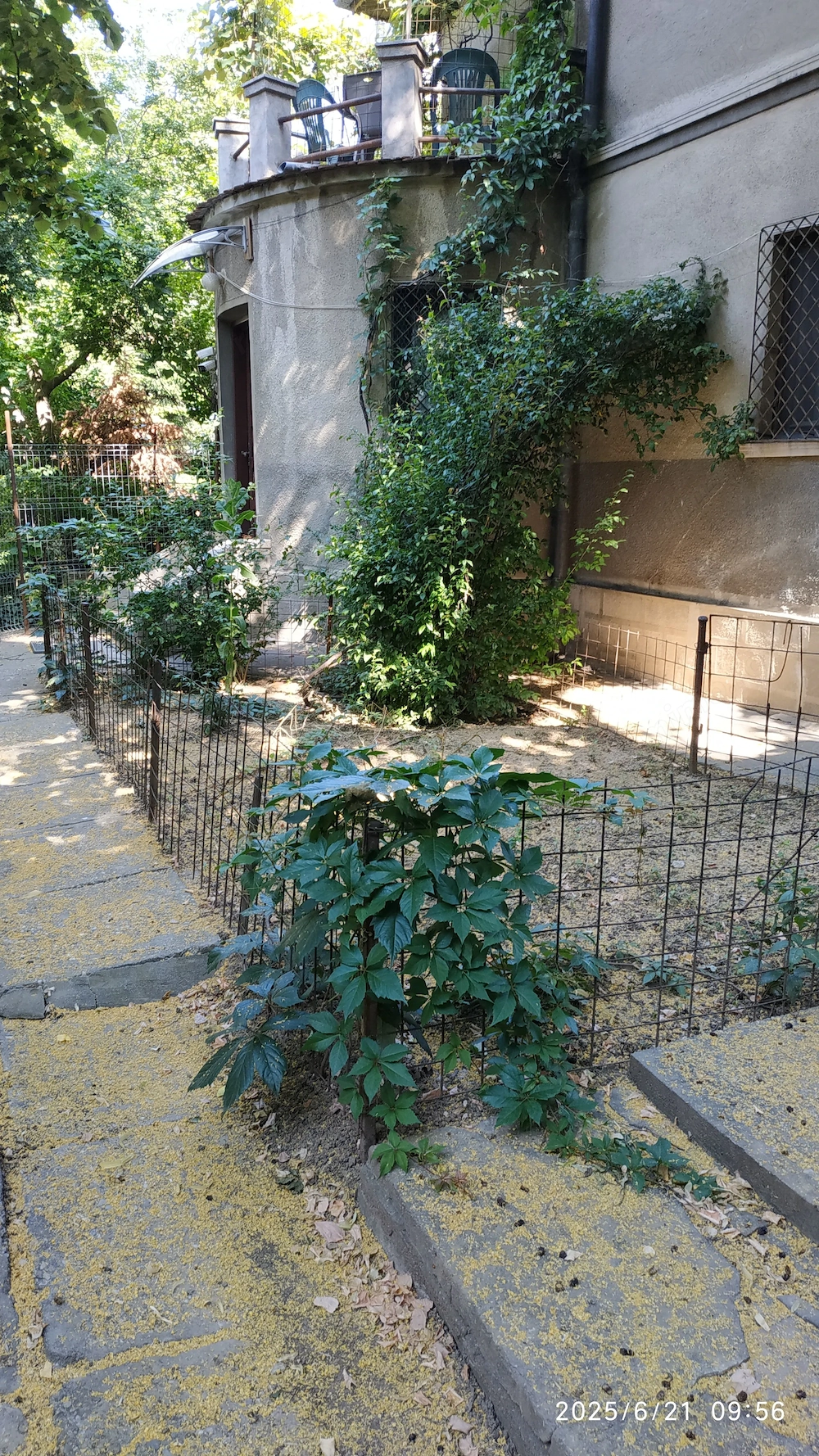 Inchiriere parter vila