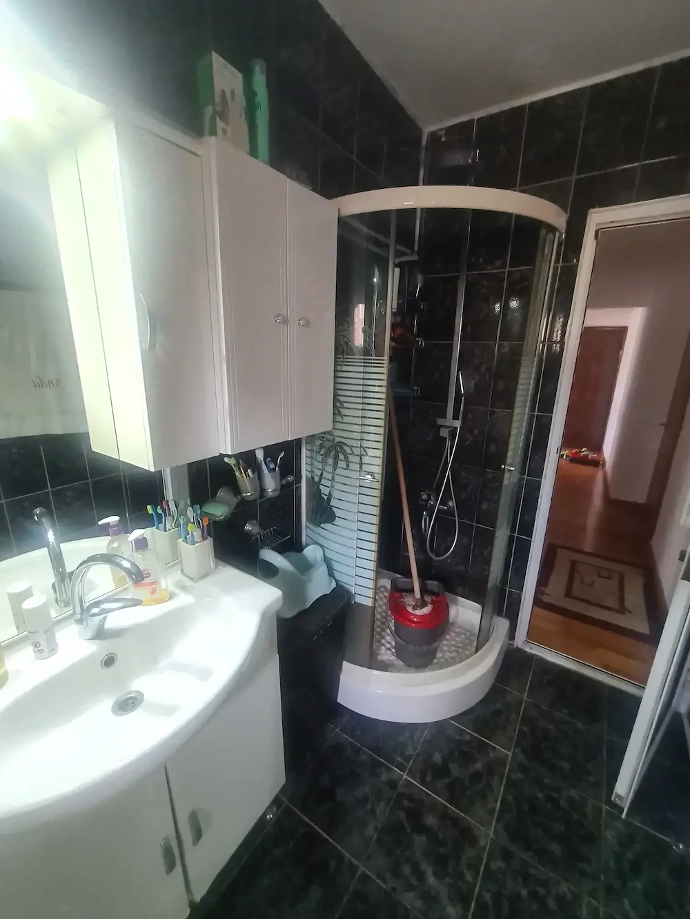 Apartament 3 camere