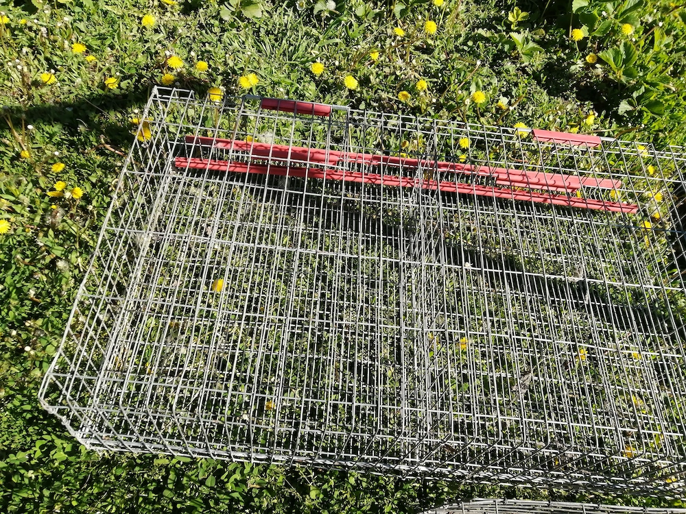 Vând trei cuști prepelițe în stare foarte bună 