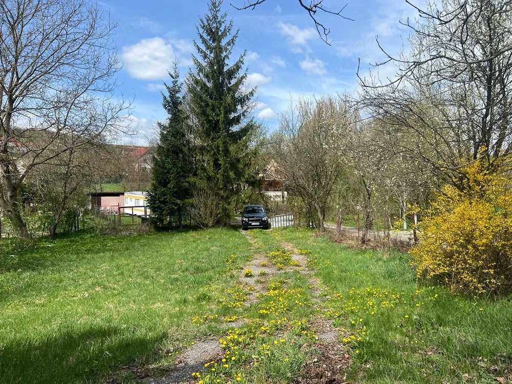 teren de vanzare Salicea Cluj